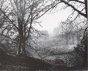 Atkinson Grimshaw, Study of Beeches